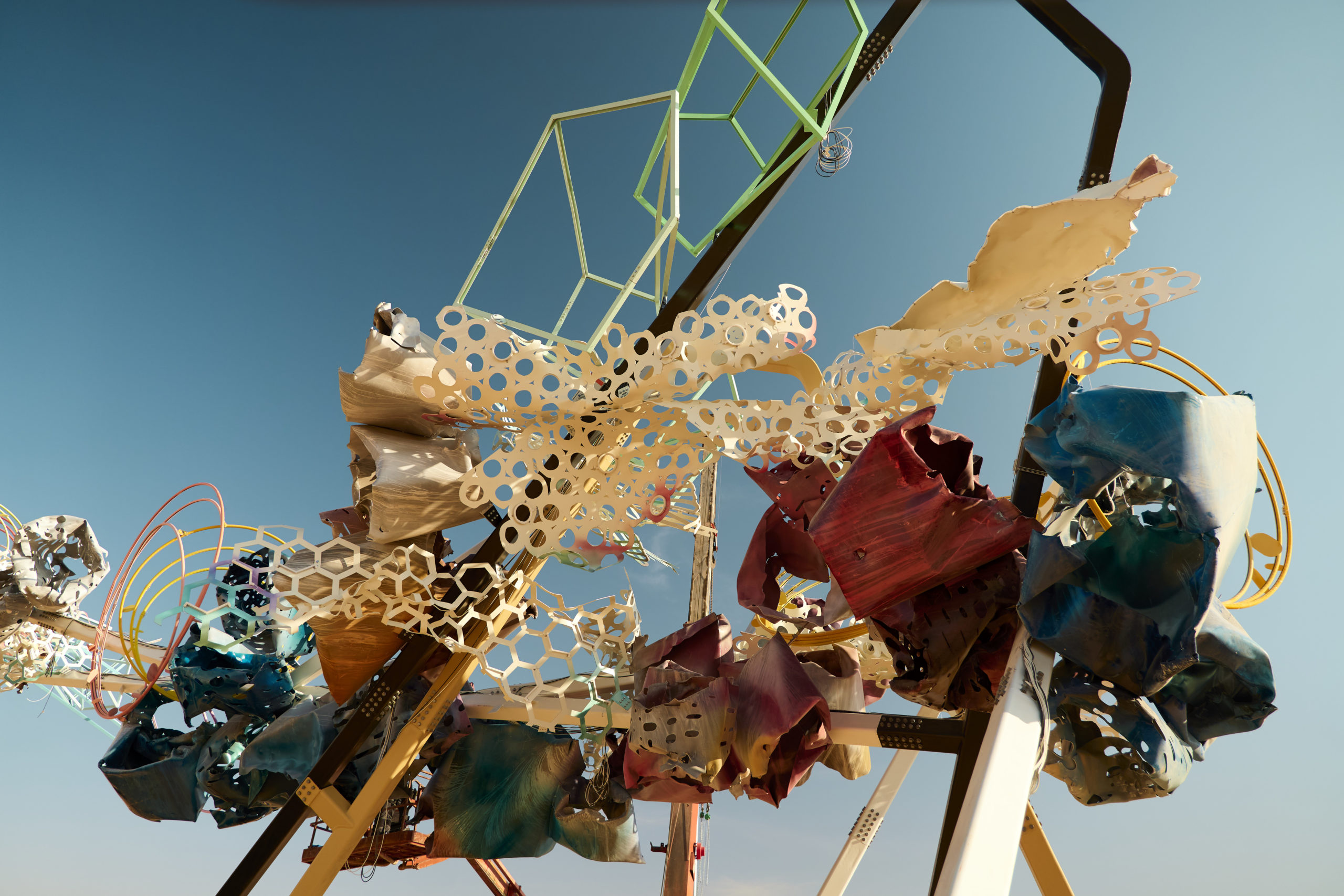 © Dave Bruel © Dave Bruel