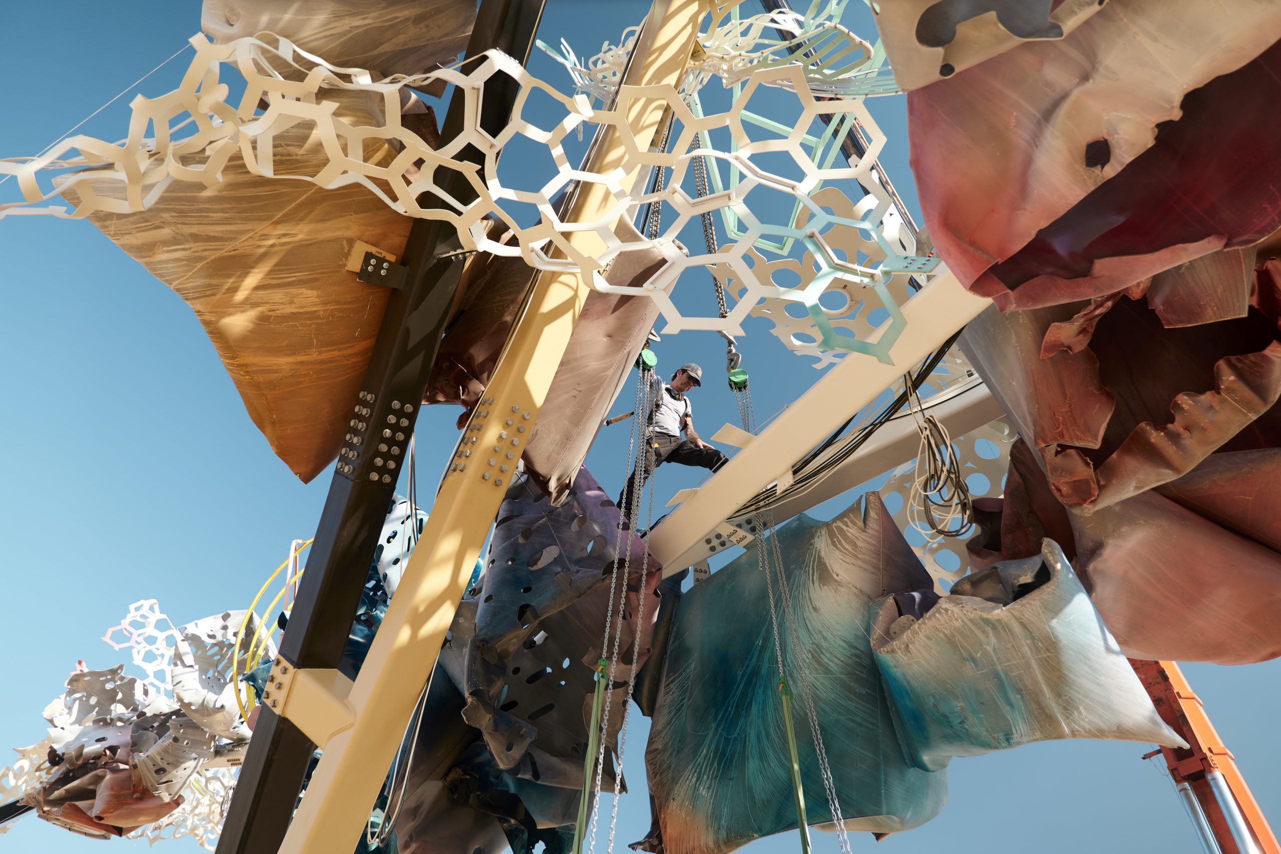 © Dave Bruel © Dave Bruel