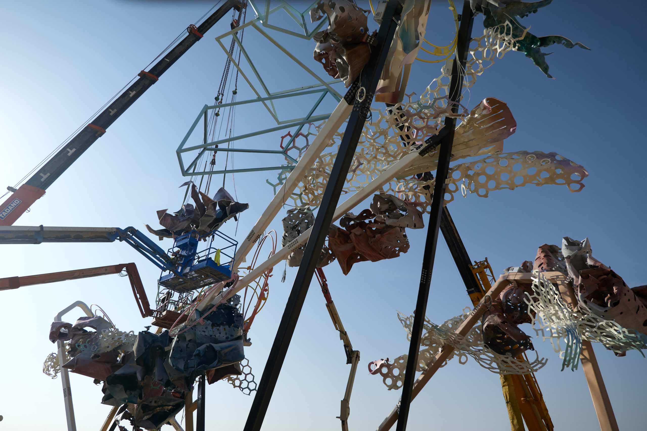 © Dave Bruel © Dave Bruel