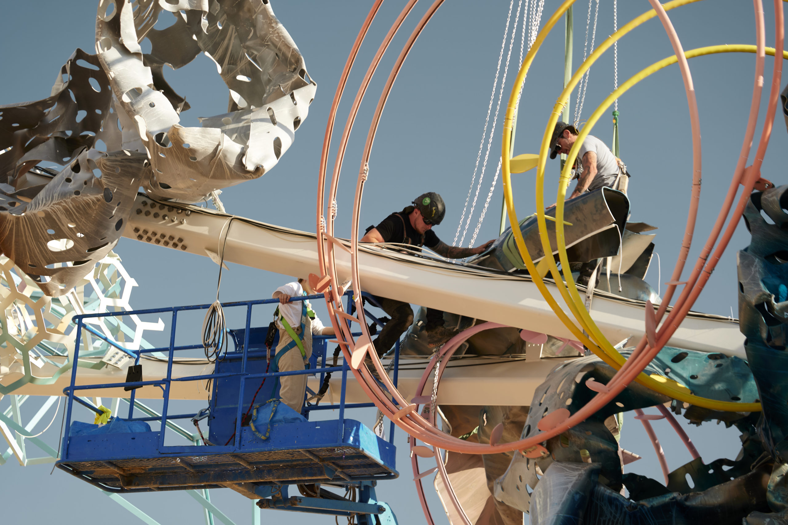 © Dave Bruel © Dave Bruel