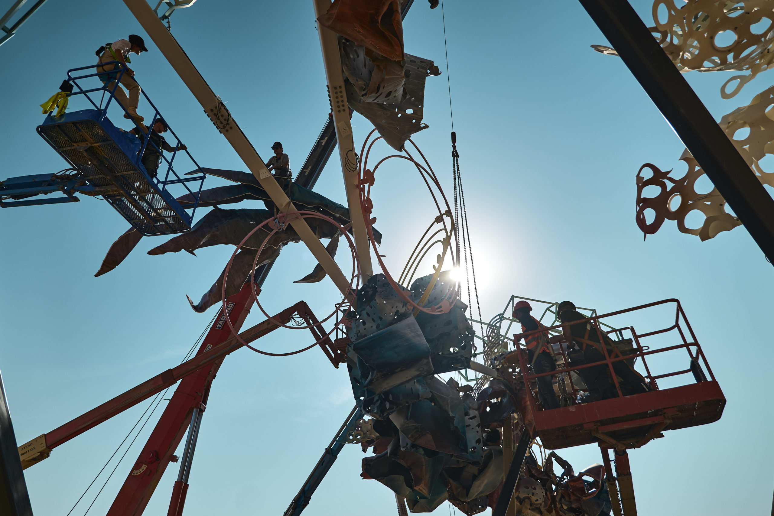 © Dave Bruel © Dave Bruel