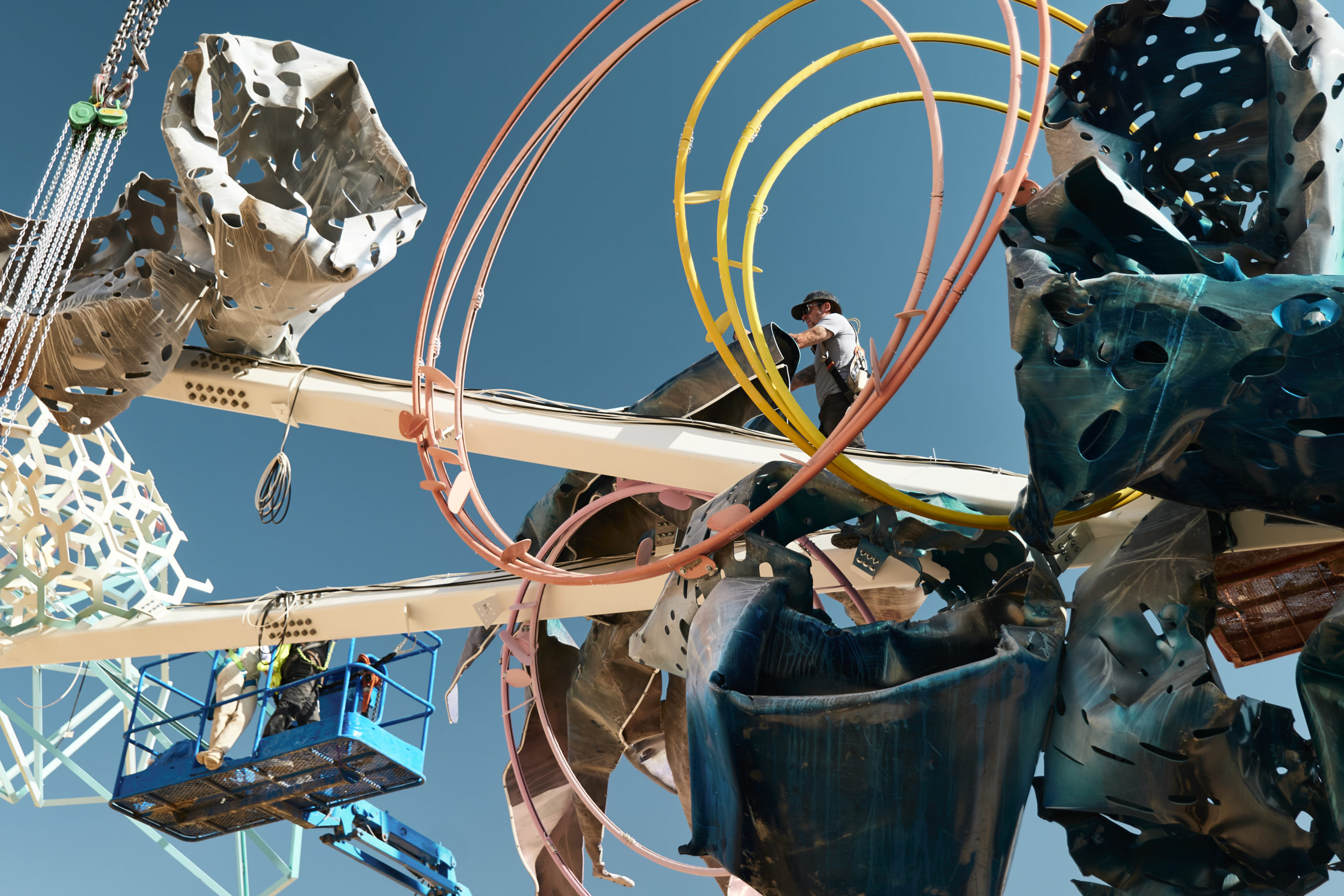 © Dave Bruel © Dave Bruel