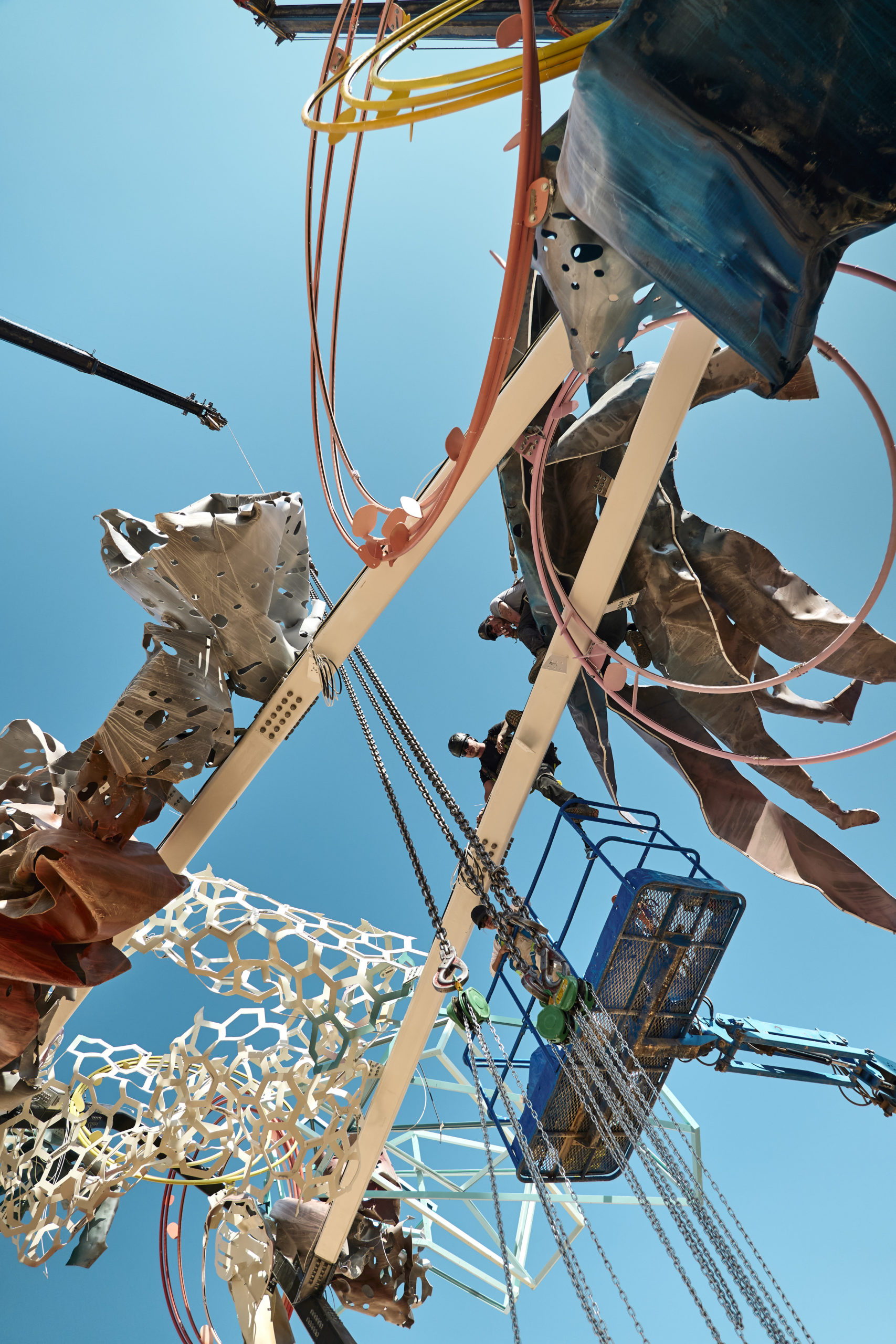 © Dave Bruel © Dave Bruel