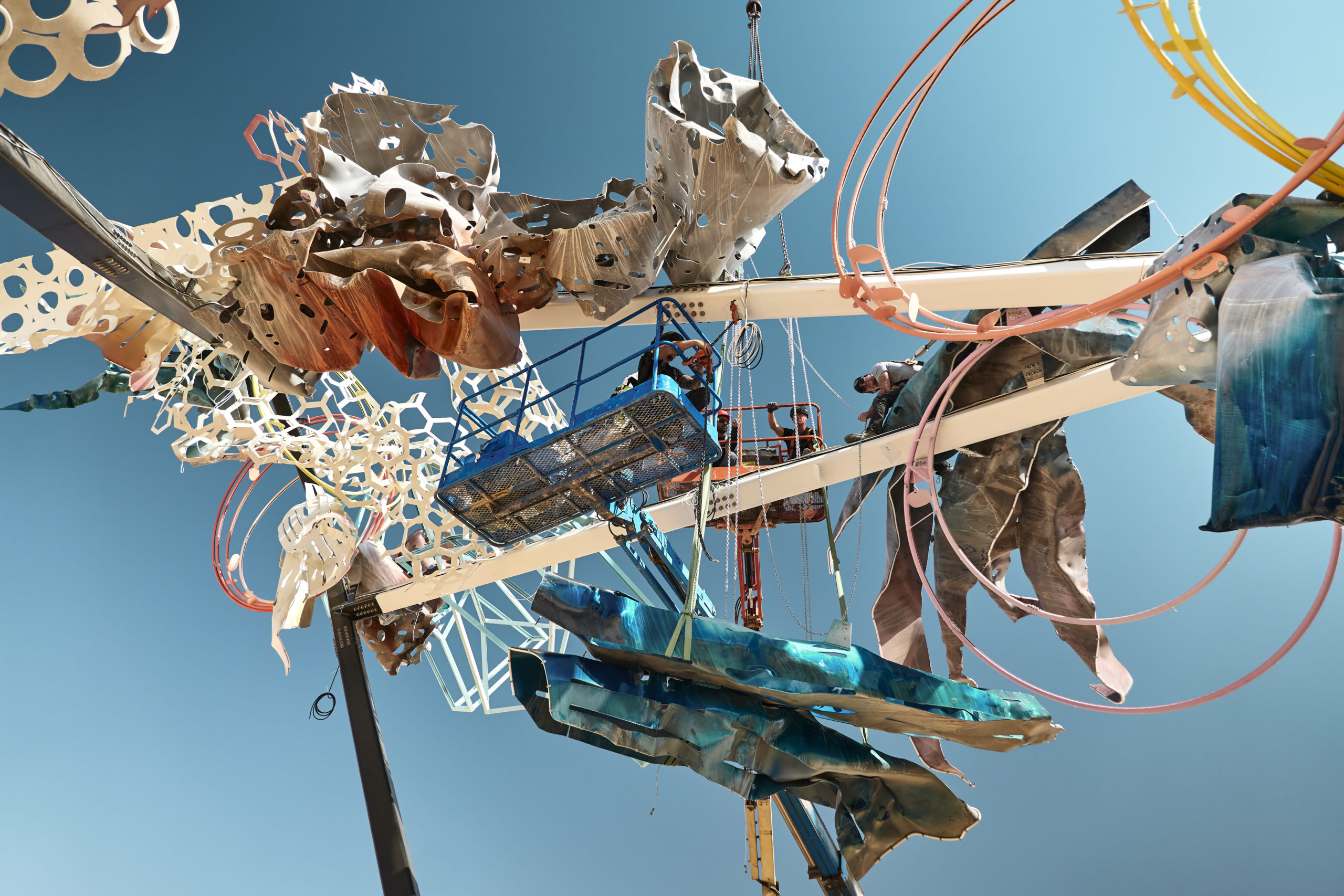 © Dave Bruel © Dave Bruel