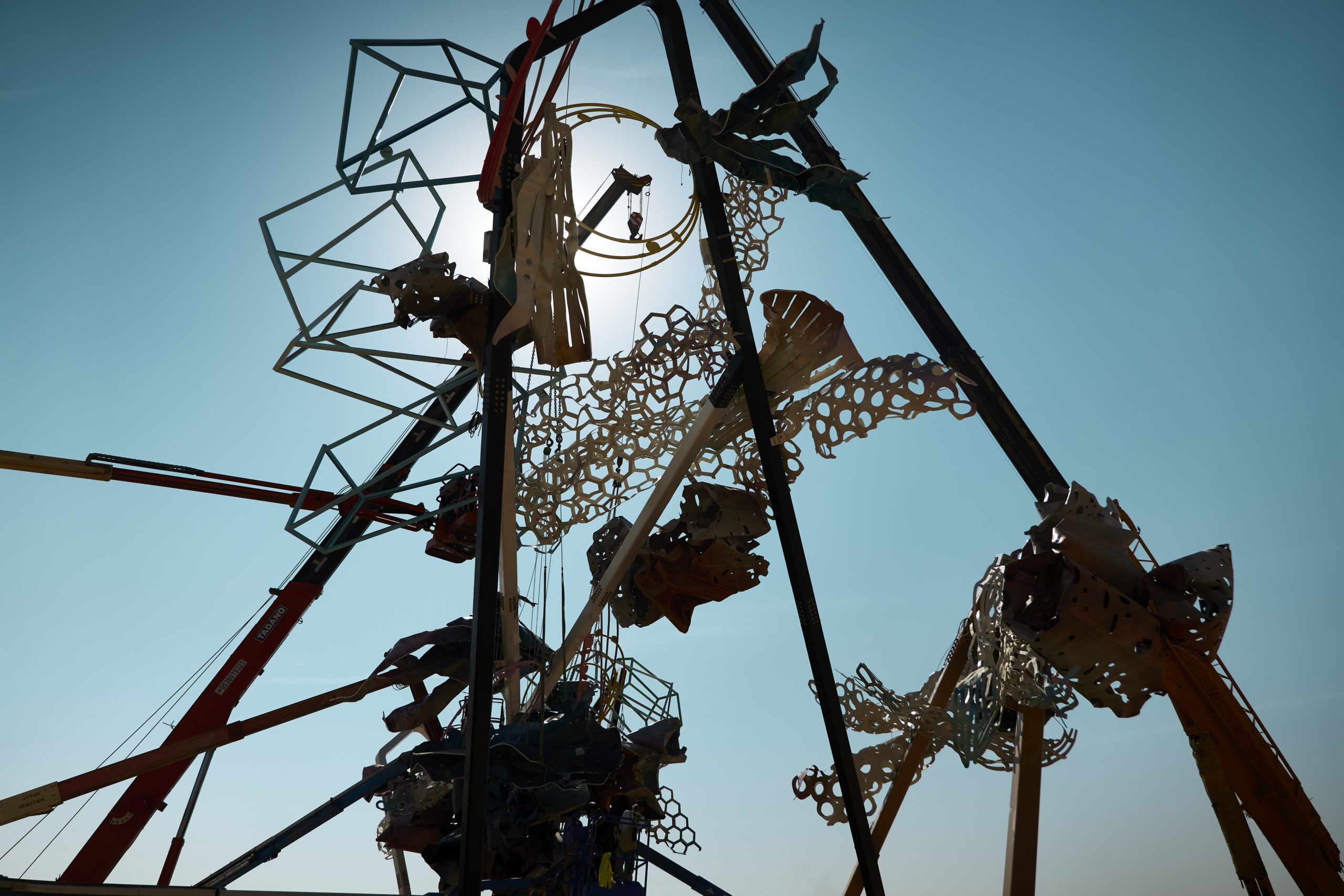 © Dave Bruel © Dave Bruel