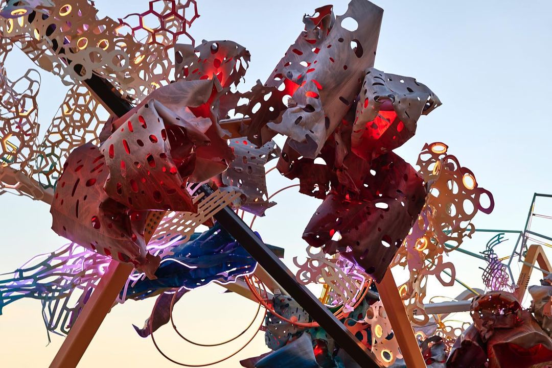 © Dave Bruel © Dave Bruel