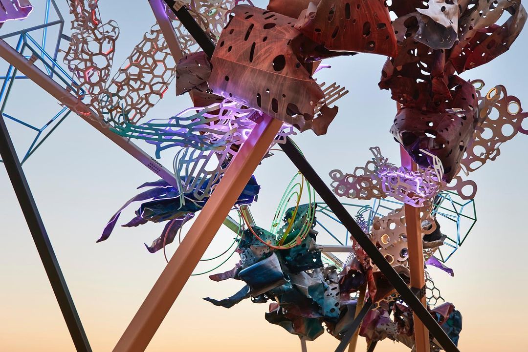 © Dave Bruel © Dave Bruel