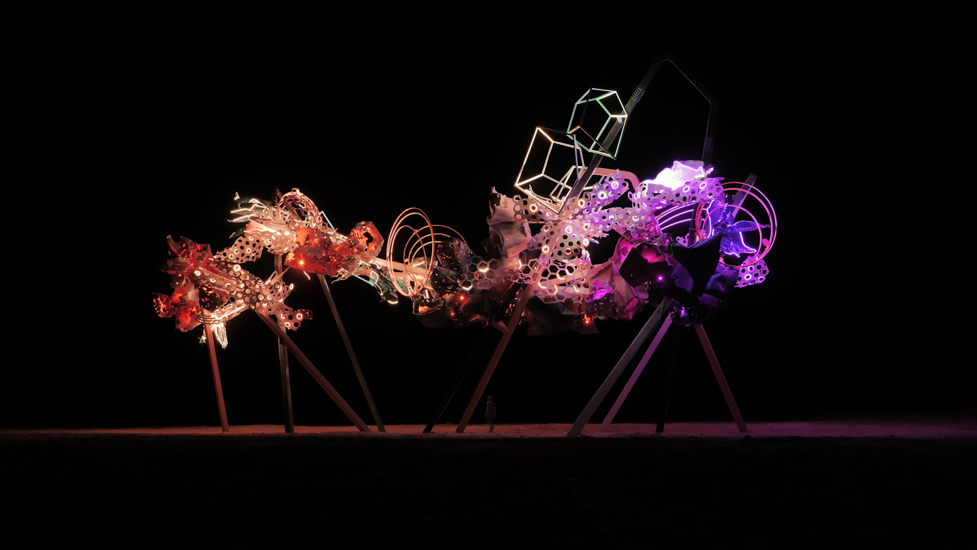 © Dave Bruel © Dave Bruel