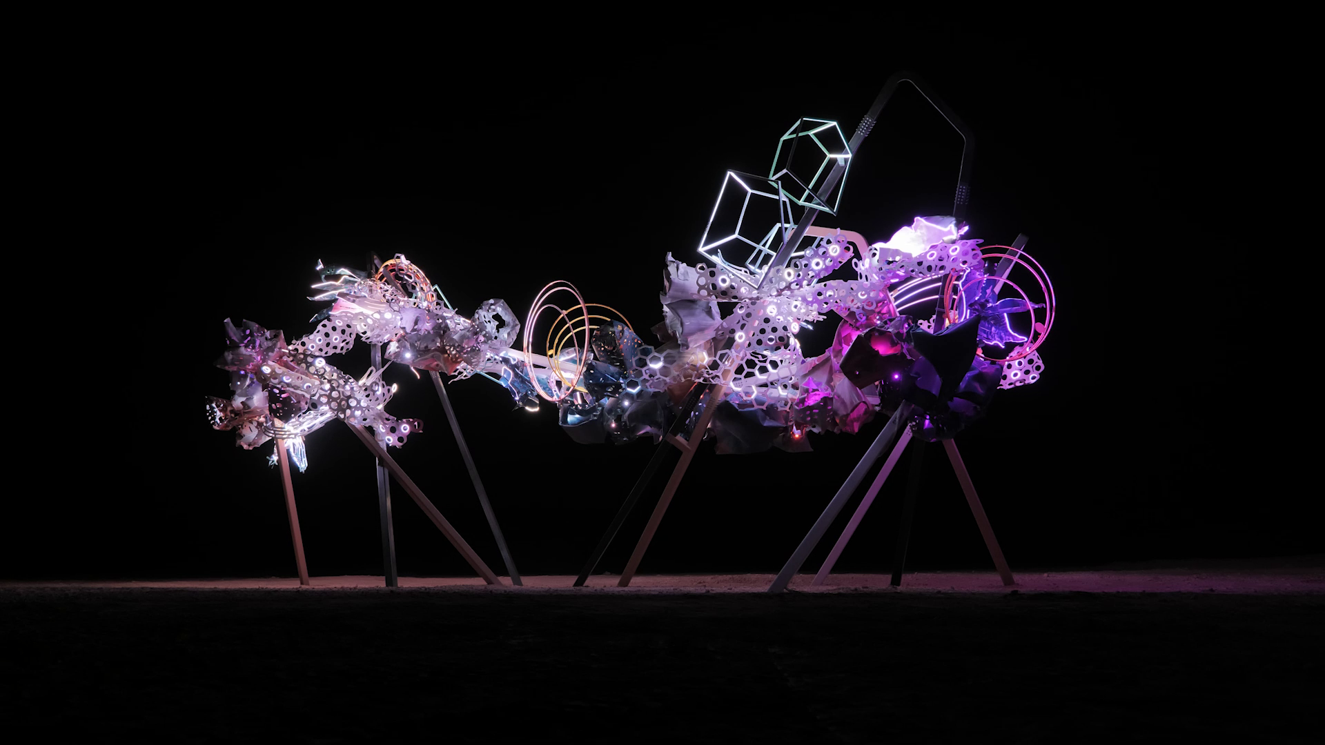 © Dave Bruel © Dave Bruel