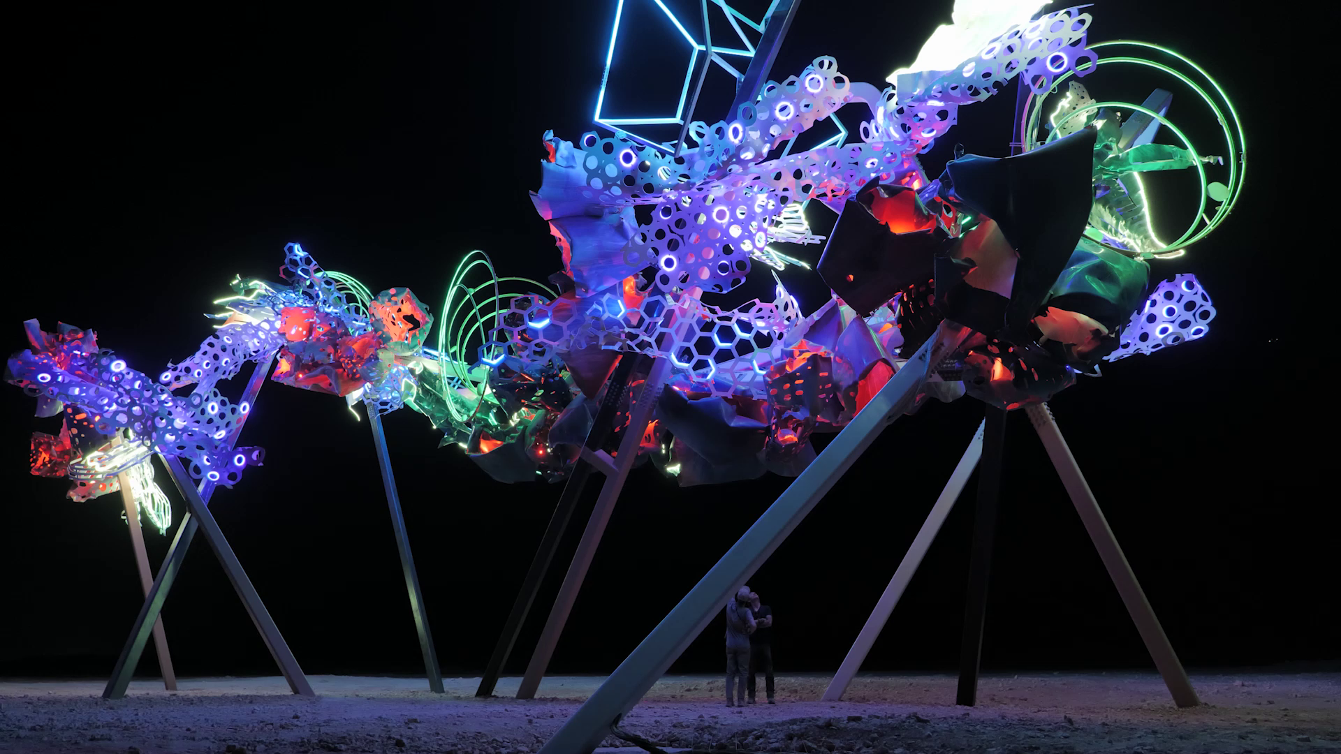 © Dave Bruel © Dave Bruel